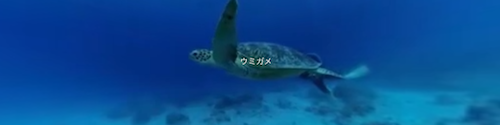 video360